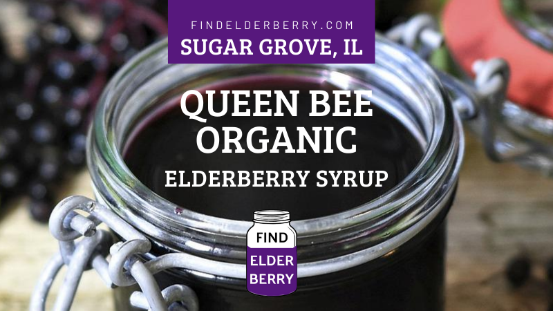 queen bee organic elderberry syrup sugar grove il