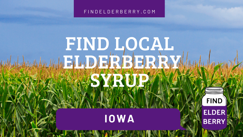 Elderberry Syrup Iowa