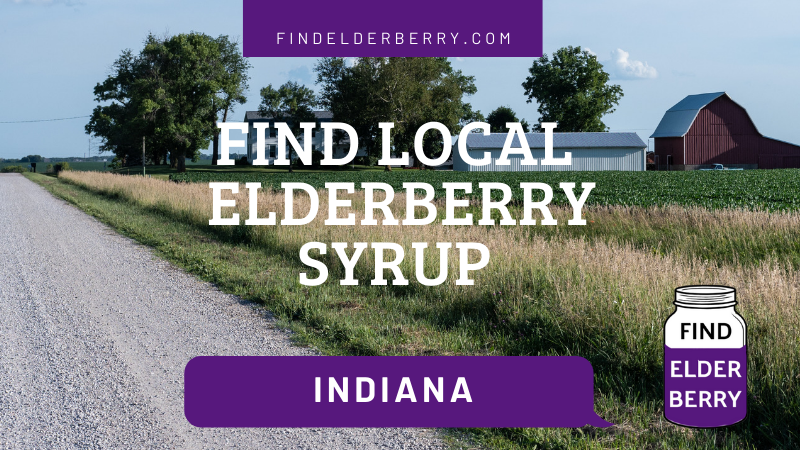 Elderberry Syrup Indiana