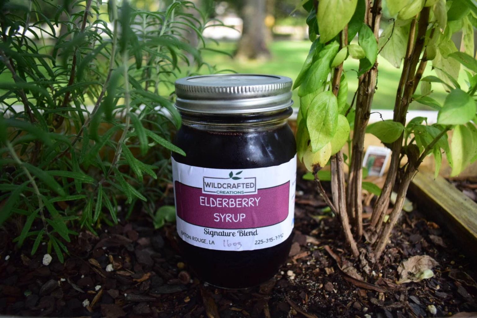 Elderberry Syrups Near Me Archive Find Elderberry