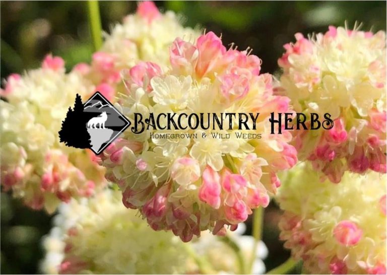 7ED551E5 025D 40FC BD9A B894A04561D5 768x546